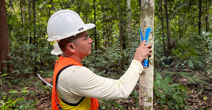 Comunidades nativas de Atalaya fortalecen capacidades para conservar 1743 hectáreas de bosque Ucayali Perú