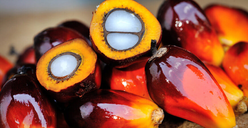 Perú exportación de palmara aceitera peruana