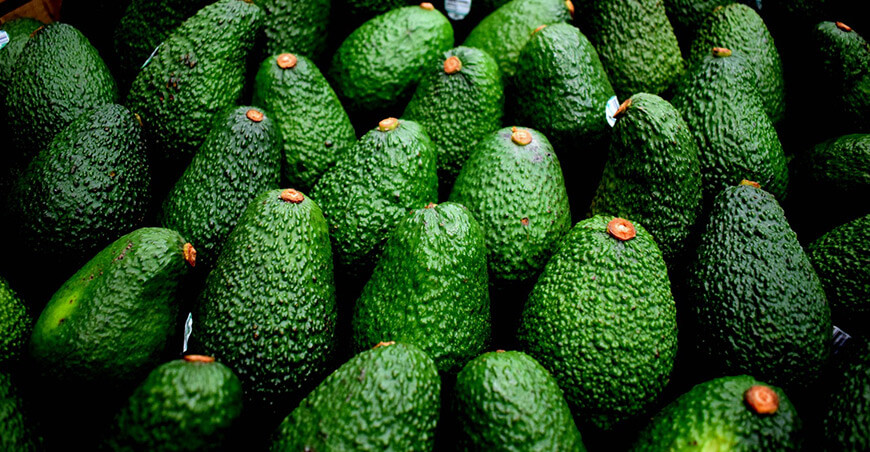 Perú exportación palta Hass peruana