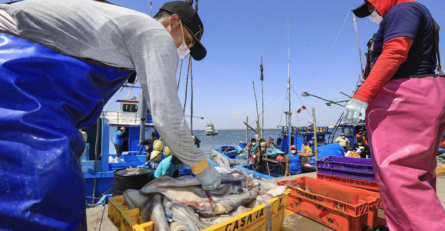 Perú exportó productos hidrobiológicos peruanos Sanipes Perú
