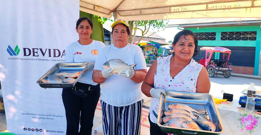 Familias acuicultoras participarán en la Gran Feria del Pescado Amazónico Ucayali Devida Perú