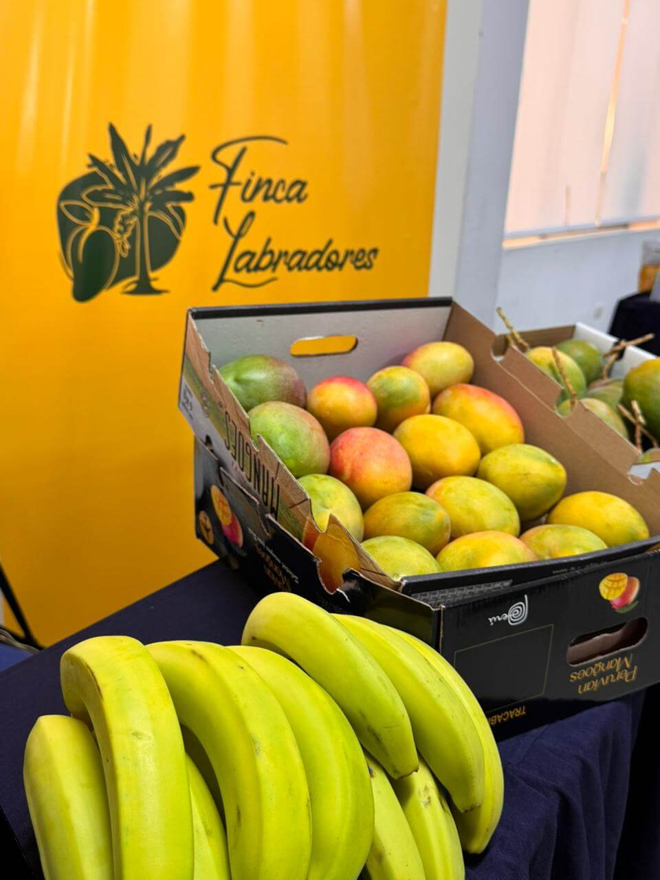 Figura 2: Exhibición de productos en el evento “Conecta Retail 2025”, espacio de articulación empresarial organizado por la Cámara de Comercio de Piura.