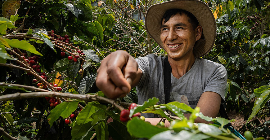 productores café cafetaleros Vraem Devida Perú