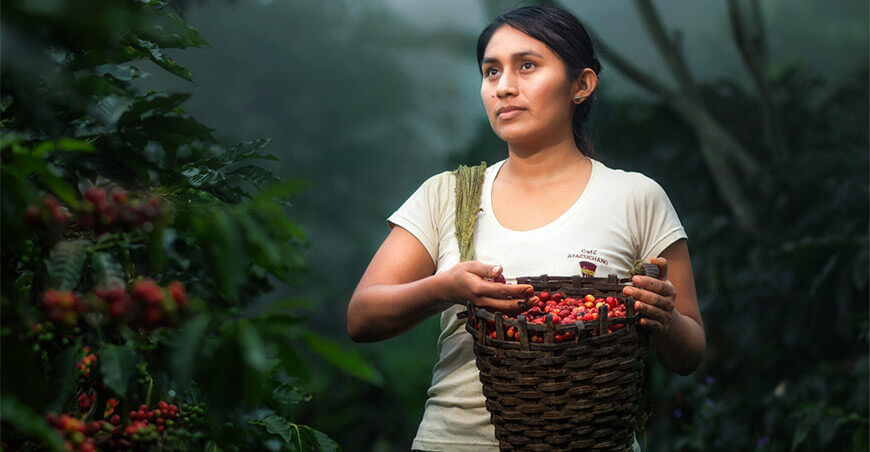 productora de café Vraem Devida Perú