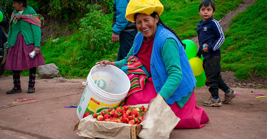 productora de fresas Limatambo Anta Cusco Perú 