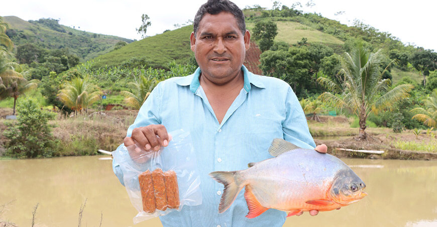 Productores del Vraem venderán 4150 kilos de pescados amazónicos a nivel nacional Devida Perú