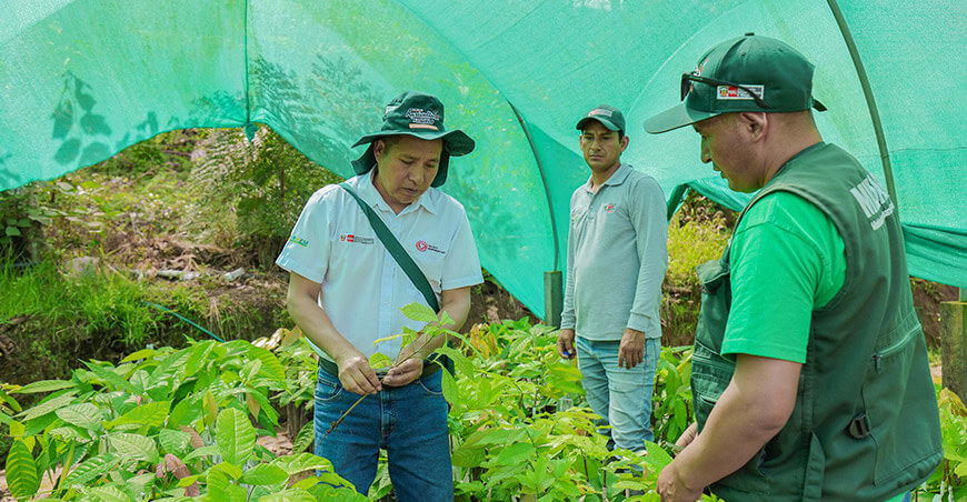 Provraem supervisó módulos de biohuertos en comunidades nativas de Cusco