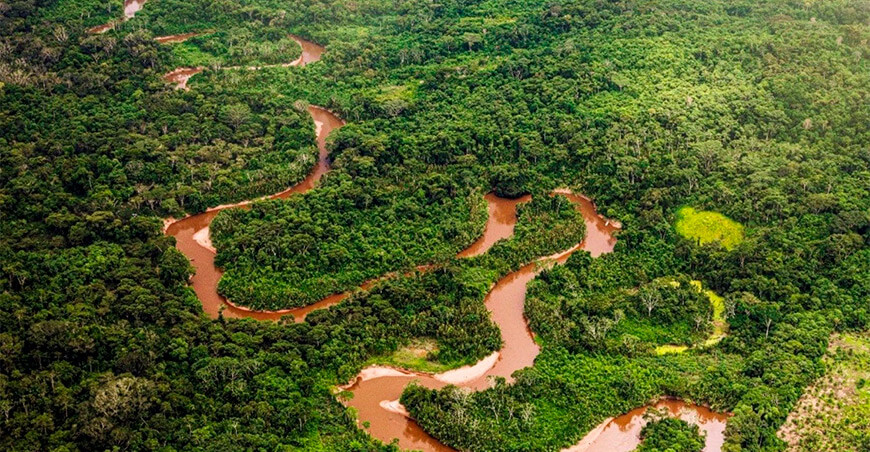 San Martín avanza en más del 70 % en la actualización de la zonificación forestal bosques Amazonía peruana