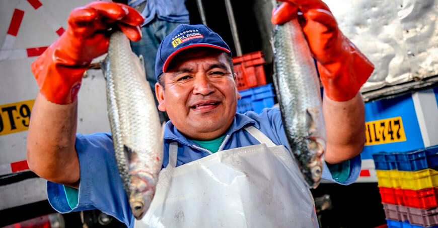 Sanipes pescadores sanidad inocuidad Perú