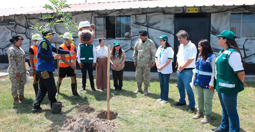 Serfor y Ejercito del Perú arborizan áreas del cuartel de la Brigada de Fuerzas Especiales