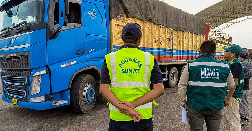 Serfor decomisó 7400 kilogramos de vainas de tara sin acreditación legal Tacna Perú