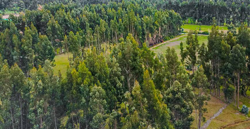 en cinco regiones cuentan con cartografía base para la Zonificación Forestal