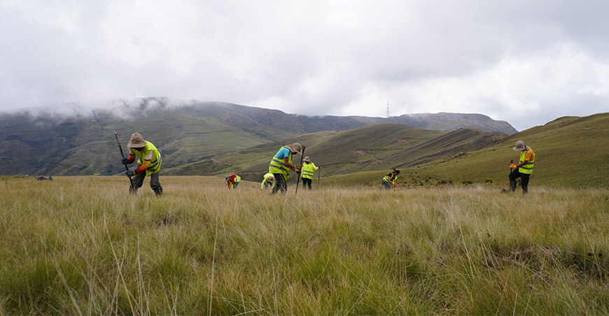 Reforestarán más de 90 hectáreas en Laguna Seca para fortalecer la siembra y cosecha de agua Cachachi Cajamarca Perú