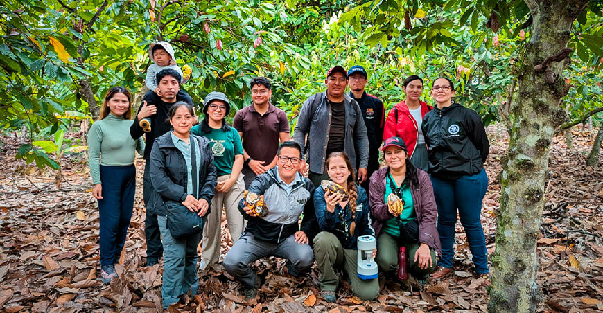 UNTRM impulsa investigación e innovación tecnológica para enfrentar enfermedades del cacao Bagua Amazonas Pérú
