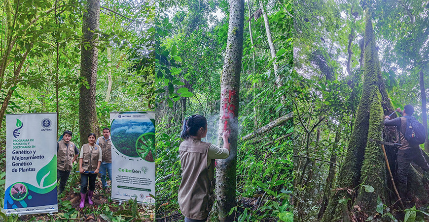 UNTRM impulsa investigación forestal con tecnología LiDAR en la región San Martín Perú