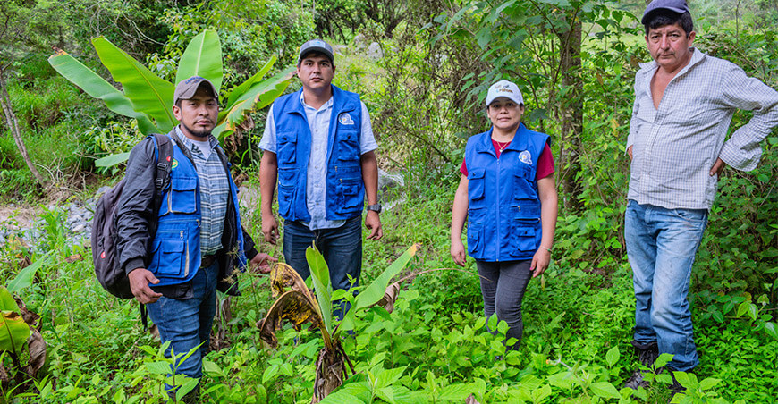 Nuevo vivero frutícola en Frías beneficiará a más de 50 familias agricultoras Piura Perú
