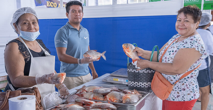 Acuicultores vendieron pescados amazónicos Ucayali Perú Devida