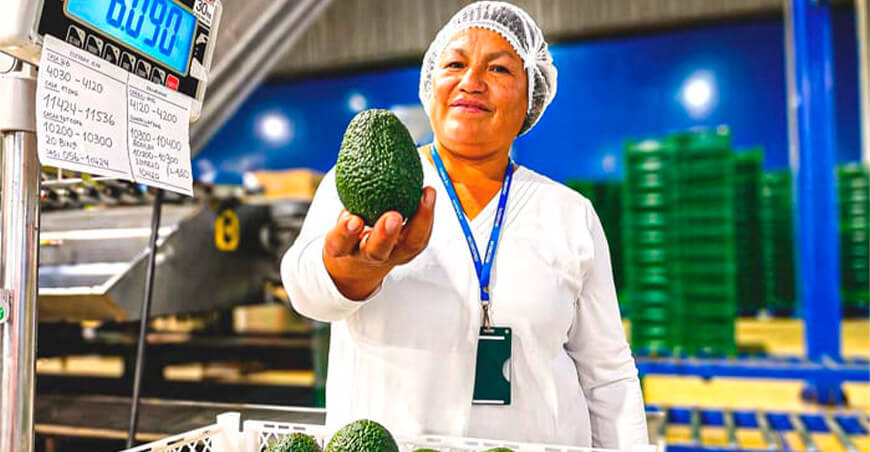 Agromercado impulsa negocios agrarios con plataforma digital que conecta oferta y demanda