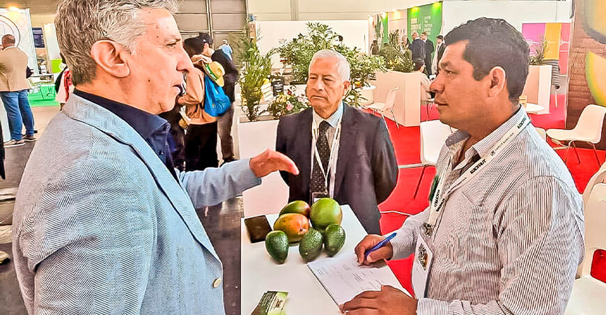 Productores de palta, mango y orégano logran intenciones de compra en feria internacional en Italia