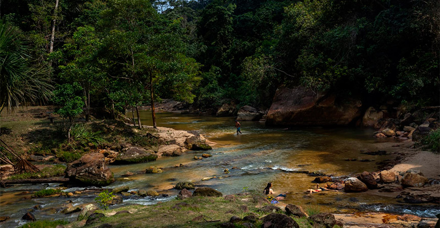 Exigen protección para el ecosistema de Aguas Calientes Maquia ante el avance de la deforestación en Loreto