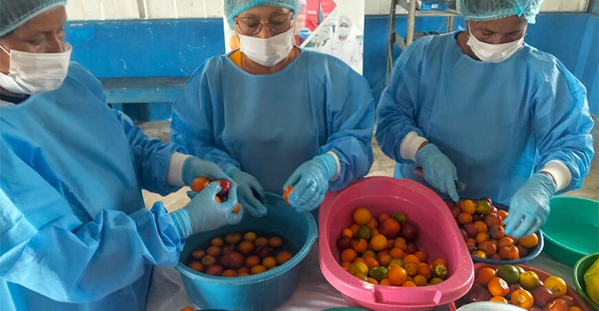 Comunidades nativas de Loreto transforman frutos amazónicos en oportunidades de desarrollo Perú ITP