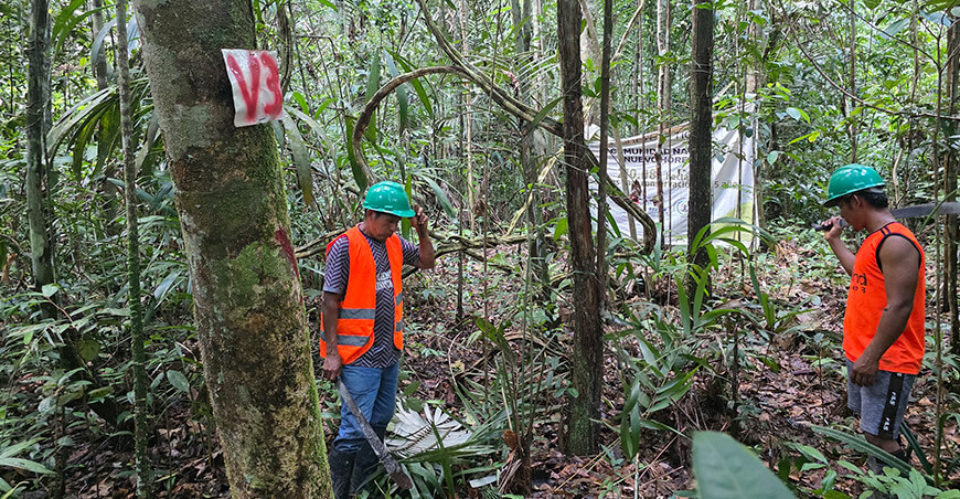 comunidades conservan sus bosques y avanzan en la compensación de multas Loreto