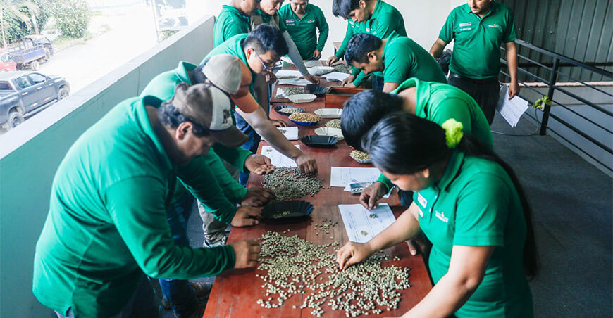 Devida capacita a profesionales para mejorar la calidad del café en el Vraem Perú