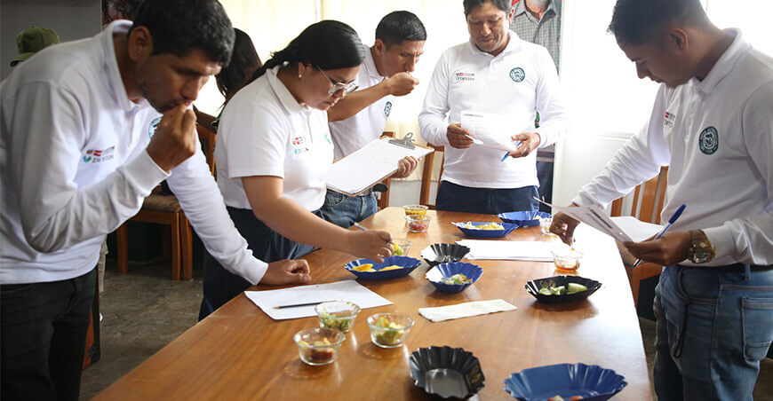 Devida fortalece la calidad del café con capacitación técnica en Tocache San Martín Perú