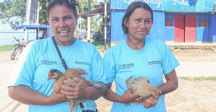 : Devida impulsa actividades productivas avicultura Loreto Perú