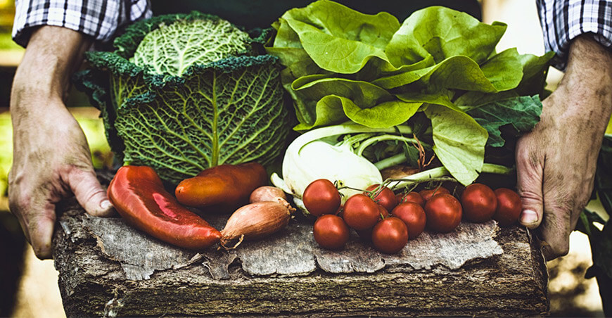 Día Mundial de la Salud inocuidad alimentaria