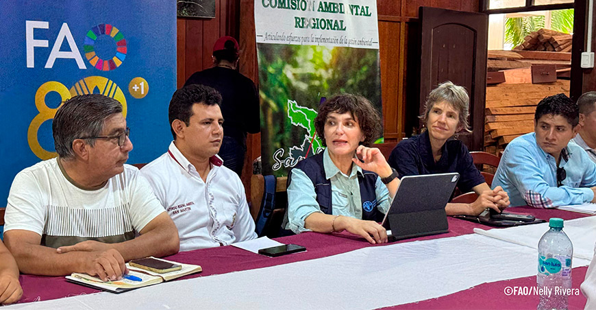 FAO: San Martín avanza en la gestión del fuego frente a incendios forestales
