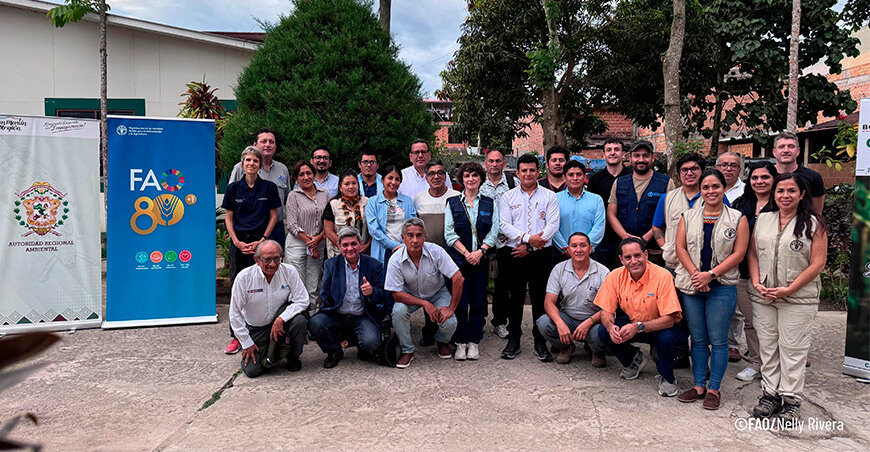 FAO: San Martín avanza en la gestión del fuego frente a incendios forestales Perú