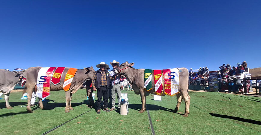 Feria Ganadera, Artesanal y Agroindustrial del Sur del Perú Fegasur Puno Perú
