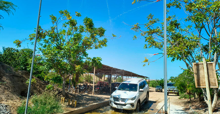 Implementan infraestructura de bioseguridad para prevenir el Fusarium Raza 4 Tropical en banano Piura Perú
