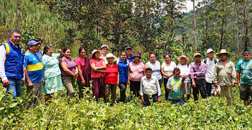 proyecto Agricultura Familiar GORE Piura