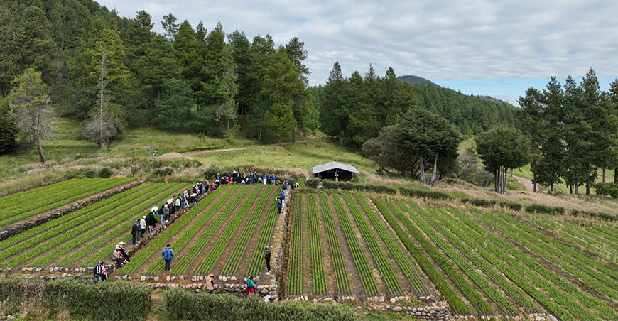 Cajamarca fortalece capacidades en producción y manejo de plantones en viveros forestales