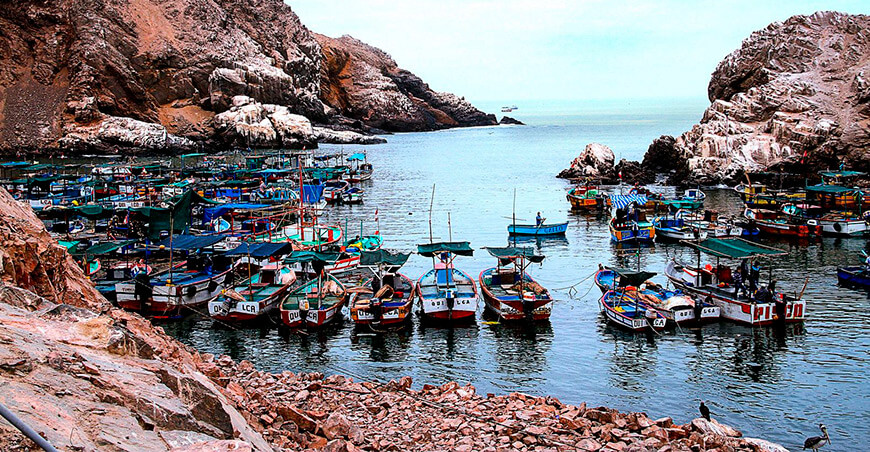 habilitaciones sanitarias en pesca y acuicultura Sanipes Perú