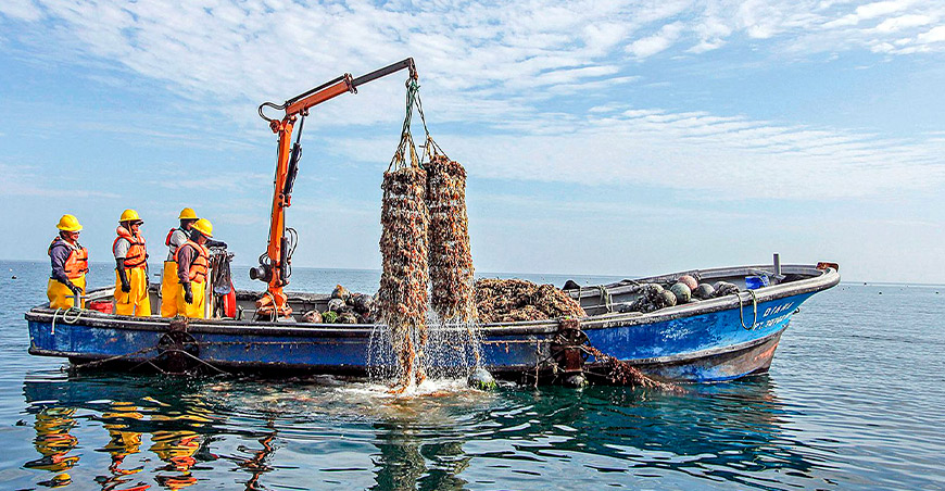 habilitaciones sanitarias en pesca y acuicultura Sanipes Perú