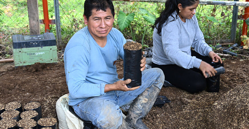IIAP implementación de sistemas agroforestales con cultivos anuales Huánuco Perú