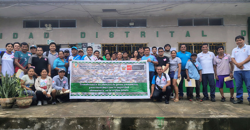 IIAP capacitó a 71 piscicultores de Pebas en cultivo de gamitana Loreto Perú