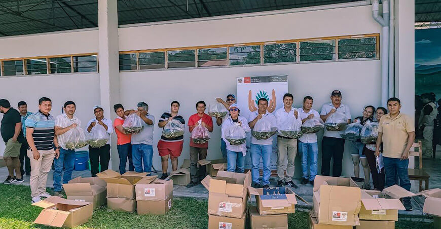 IIAP entregó 90 000 alevinos a 61 familias amazónicas de San Martín