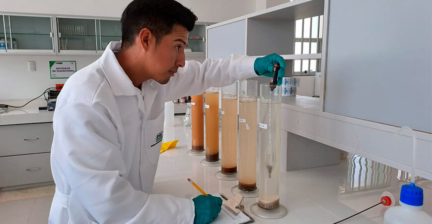 Incrementan en 33 % la fertilidad de 120 hectáreas de cultivos con bioinsumos y tecnología orgánica INIA Perú 