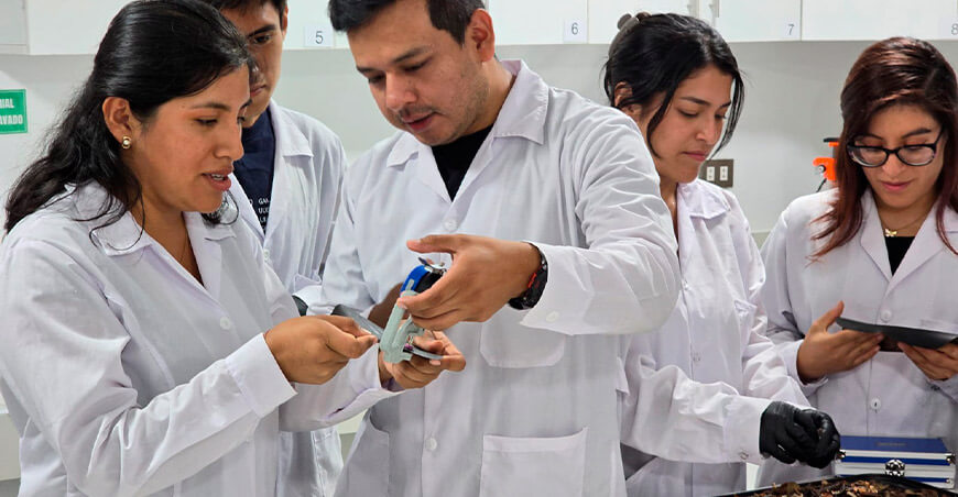 Día Mundial del Emprendimiento ProInnóvate los impulsa en el Perú