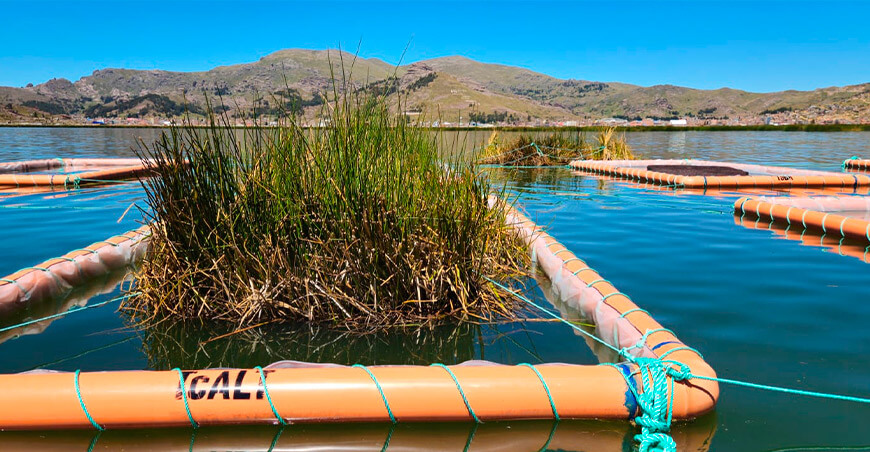 Inician recuperación de la calidad del agua del lago Titicaca con filtros de totora Puno Perú