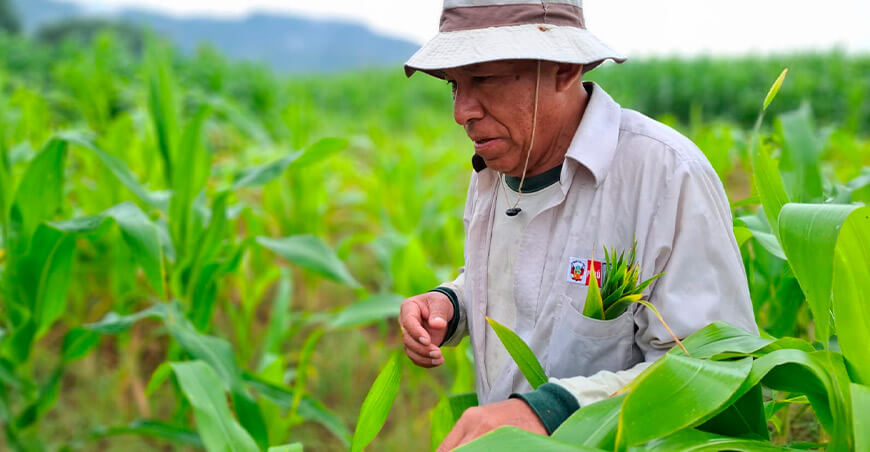 Lideran acciones para fortalecer la bioseguridad frente a organismos vivos modificados en el Perú