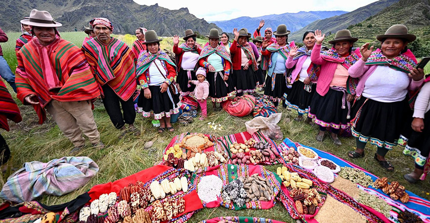 revalorar cultivos nativos agrobiodiversidad Cusco Perú