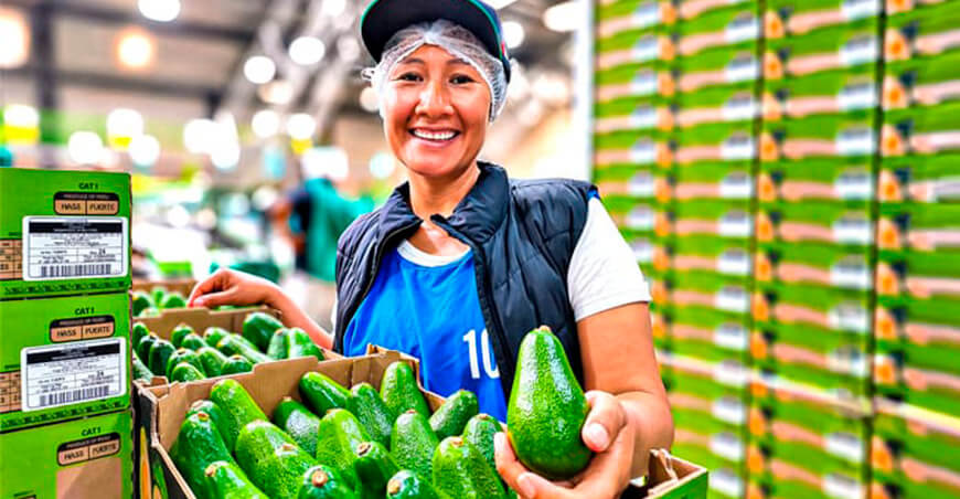 Agromercado impulsa negocios agrarios con plataforma digital que conecta oferta y demanda
