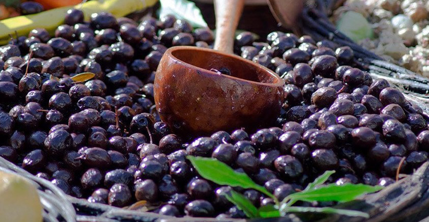 Perú exportación aceitunas peruana
