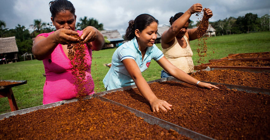 Perú exportación cacao en grano peruano 
