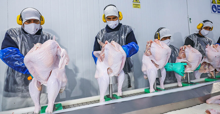 Perú exportación carne de aves pavos peruanos